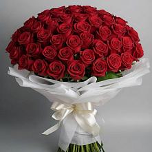 Букет 101 Красная роза Блэк Мэджик в Здвинске