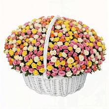 Премиум букет из: Розы в Здвинске