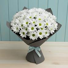 Букет цветов из:  Хризантемы #REPLACE_PRED# Здвинске