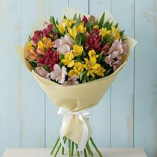 Букет цветов из:  Альстромерии в Здвинске