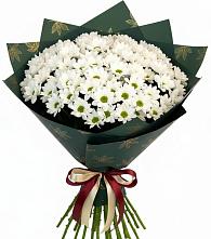Букет цветов из:  Хризантемы в Здвинске