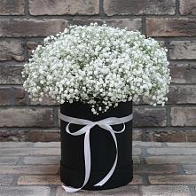 Цветочная композиция из Гипсофила в шляпной коробке в Здвинске