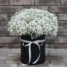 Цветочная композиция из Гипсофила в шляпной коробке в Здвинске