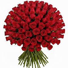 Букет Красные розы Чери Лав в Здвинске